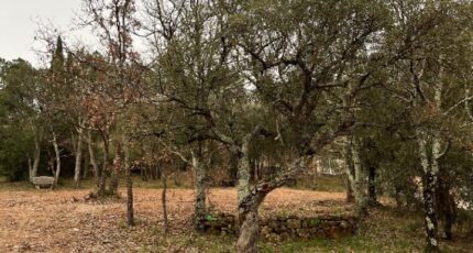 Vidauban Terrain à bâtir - 2409358-11723annonce420260127kOIQ6.jpeg Maisons Open