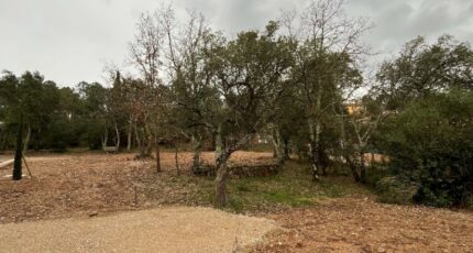 Vidauban Terrain à bâtir - 2409358-11723annonce520260127tPs17.jpeg Maisons Open