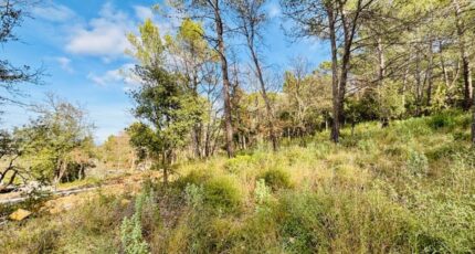 Rocbaron Terrain à bâtir - 2409550-9707annonce3202601287WPtk.jpeg Maisons Open