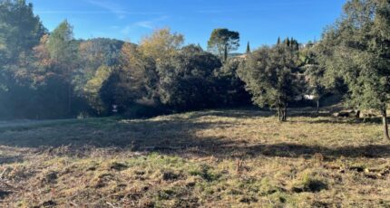 Taradeau Terrain à bâtir - 2409619-9707annonce220260128HRZZI.jpeg Maisons Open