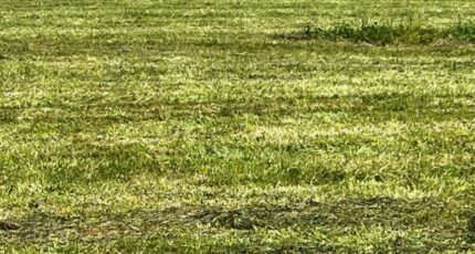 Thors Terrain à bâtir - 2408587-10974annonce120260127iMlqJ.jpeg Maisons Open