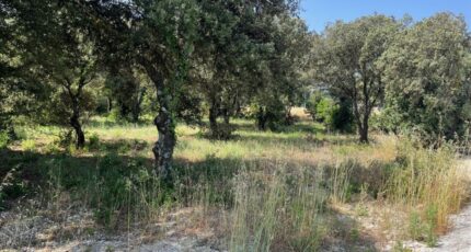 La Baume-de-Transit Terrain à bâtir - 2403223-6150annonce120250627OTh6f.jpeg Maisons Open