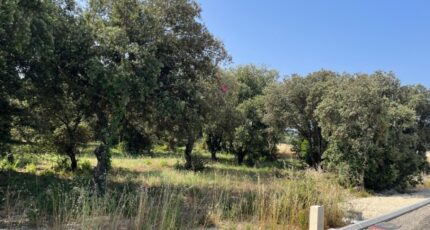 La Baume-de-Transit Terrain à bâtir - 2403223-6150annonce220250627PXRDx.jpeg Maisons Open