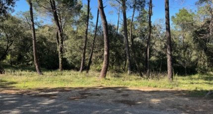 Suze-la-Rousse Terrain à bâtir - 2403234-6150annonce120250524yNgAT.jpeg Maisons Open