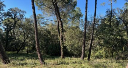 Suze-la-Rousse Terrain à bâtir - 2403234-6150annonce420250524nuSHL.jpeg Maisons Open