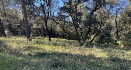 Suze-la-Rousse Terrain à bâtir - 2403234-6150annonce520250524uUhrr.jpeg Maisons Open