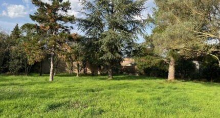 Bollène Terrain à bâtir - 2403247-6150annonce420241020y3FKI.jpeg Maisons Open