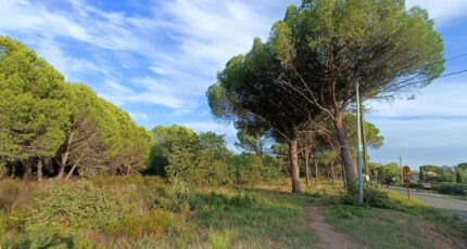 Puget-sur-Argens Terrain à bâtir - 2410387-9911annonce220260128O9e61.jpeg Maisons Open