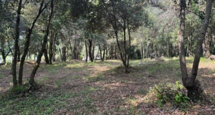 Biot Terrain à bâtir - 2410663-9270annonce1202506263UTQg.jpeg Maisons Open