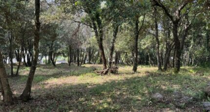 Biot Terrain à bâtir - 2410663-9270annonce220250626SFu2K.jpeg Maisons Open