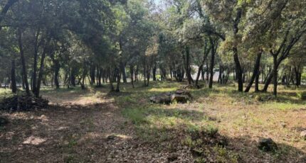 Biot Terrain à bâtir - 2410663-9270annonce32025062677Vs0.jpeg Maisons Open