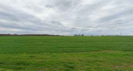 Moisenay Terrain à bâtir - 2410974-4684annonce1202601284STv6.jpeg Maisons Open