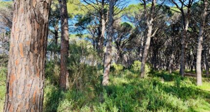 Saint-Maximin-la-Sainte-Baume Terrain à bâtir - 2411133-9707annonce220260129kWtvm.jpeg Maisons Open