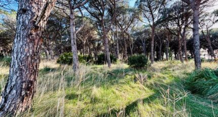 Saint-Maximin-la-Sainte-Baume Terrain à bâtir - 2411133-9707annonce320260129xbQEB.jpeg Maisons Open