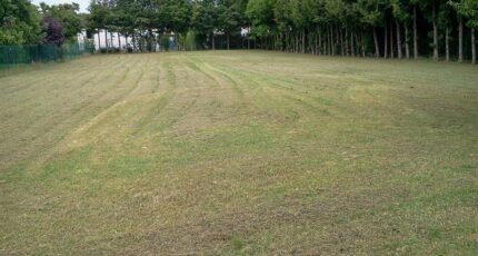 Villemereuil Terrain à bâtir - 2411424-4032annonce120260129JqFmD.jpeg Maisons Open