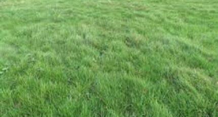 Boissy-sous-Saint-Yon Terrain à bâtir - 2410630-10729annonce12026012872hio.jpeg Maisons Open