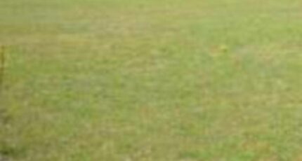 Charmont-sous-Barbuise Terrain à bâtir - 2411807-4032annonce1202601297rl44.jpeg Maisons Open