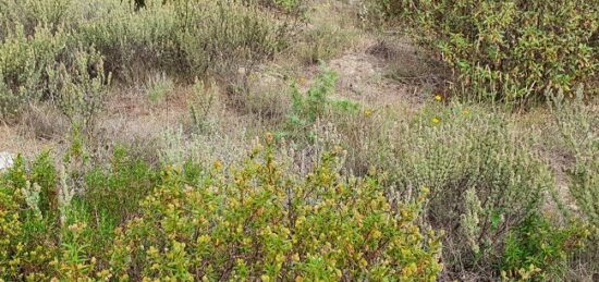 Terrain à bâtir à Pia, Occitanie