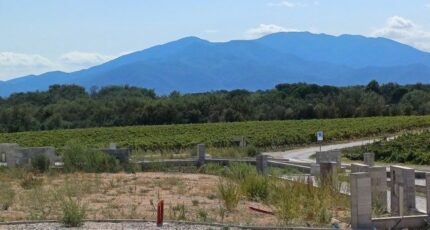 Tresserre Terrain à bâtir - 2412104-4671annonce120260129XrLTa.jpeg Maisons Open