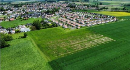 Vitry-en-Artois Terrain à bâtir - 2369083-6130annonce1202512158cQCI.jpeg Maisons Open