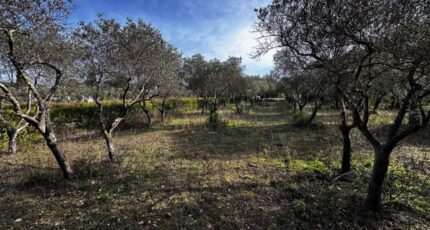 Lorgues Terrain à bâtir - 2412473-3701annonce120260129IQJWU.jpeg Maisons Open