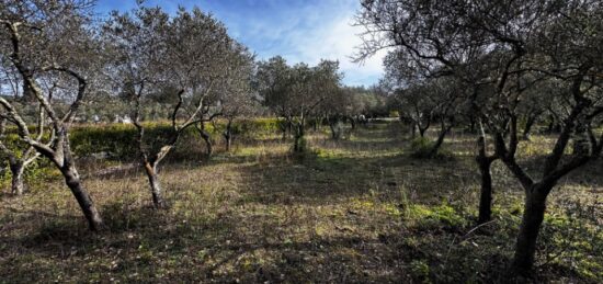Terrain à bâtir à Lorgues, Provence-Alpes-Côte d'Azur