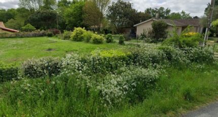 La Lande-de-Fronsac Terrain à bâtir - 2346665-11687annonce320251122k9uVe.jpeg Maisons Open