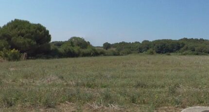 Meursac Terrain à bâtir - 2414702-7092annonce1202512261FTgf.jpeg Maisons Open