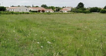 Meschers-sur-Gironde Terrain à bâtir - 2414722-7092annonce120251226i7EdO.jpeg Maisons Open