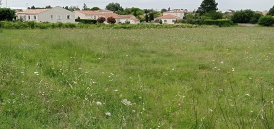 Terrain à bâtir à Meschers-sur-Gironde, Nouvelle-Aquitaine