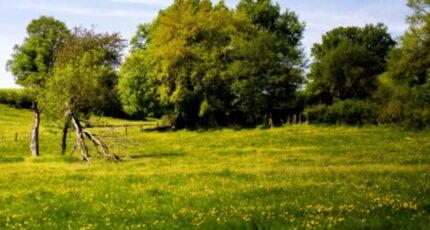 Notre-Dame-de-Monts Terrain à bâtir - 2407883-11728annonce1202601279G2Pk.jpeg Maisons Open