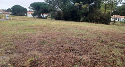 Notre-Dame-de-Monts Terrain à bâtir - 2407883-11728annonce320260205lfwiR.jpeg Maisons Open