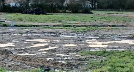 Saint-Urbain Terrain à bâtir - 2407748-11728annonce220260127M0Ny1.jpeg Maisons Open