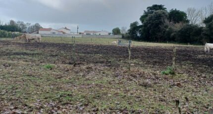 Saint-Urbain Terrain à bâtir - 2407748-11728annonce120260205NA1at.jpeg Maisons Open