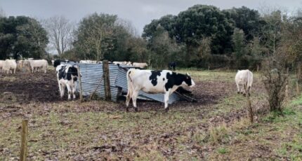 Saint-Urbain Terrain à bâtir - 2407748-11728annonce2202602055VzdW.jpeg Maisons Open