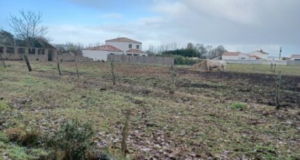 Saint-Urbain Terrain à bâtir - 2407748-11728annonce320260205N9d7A.jpeg Maisons Open