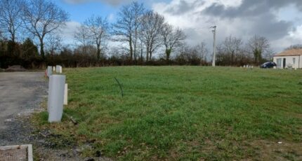 Palluau Terrain à bâtir - 2410559-11728annonce120260128JiS0w.jpeg Maisons Open