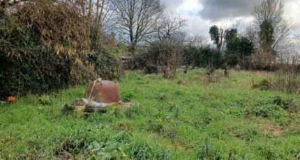 Froidfond Terrain à bâtir - 2411344-11728annonce2202601294nw0b.jpeg Maisons Open