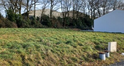 Beaulieu-sous-la-Roche Terrain à bâtir - 2411299-11728annonce420260129NJ4Jw.jpeg Maisons Open