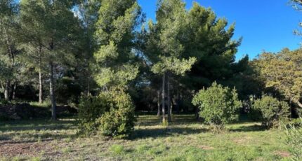 Ollioules Terrain à bâtir - 2413922-4590annonce120260130reVDS.jpeg Maisons Open