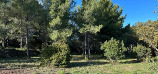 Terrain à bâtir à Ollioules, Provence-Alpes-Côte d'Azur