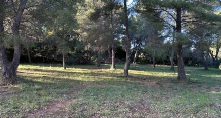 Ollioules Terrain à bâtir - 2413922-4590annonce2202601301P4x5.jpeg Maisons Open