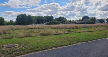 Val-de-Vesle Terrain à bâtir - 2415793-10076annonce120251009l9Tg6.jpeg Maisons Open