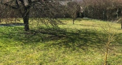 Alincourt Terrain à bâtir - 2415867-10076annonce120251006QxQMK.jpeg Maisons Open