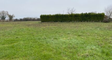 Champagne Terrain à bâtir - 2416004-11194annonce220260202RGdNb.jpeg Maisons Open