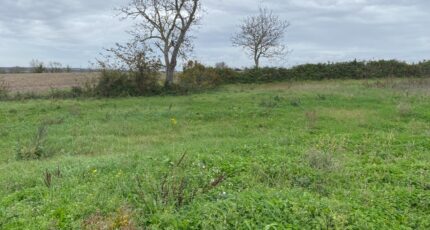 Arvert Terrain à bâtir - 2416066-11194annonce220260202BEdzS.jpeg Maisons Open