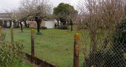 Semussac Terrain à bâtir - 2416504-1055annonce120260203Fkphe.jpeg Maisons Open