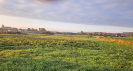 Mons-en-Pévèle Terrain à bâtir - 2416561-11632annonce120260203nO2LV.jpeg Maisons Open