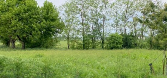 Terrain à bâtir à Birac-sur-Trec, Nouvelle-Aquitaine