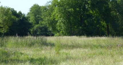 Cadaujac Terrain à bâtir - 2417173-11358annonce120260203KeEd0.jpeg Maisons Open